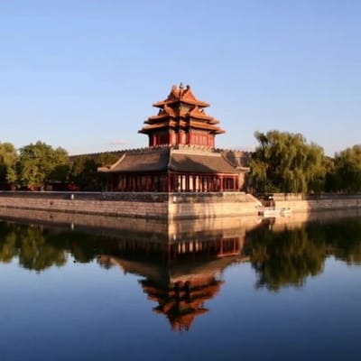 María Francisca Viel_1 avatar